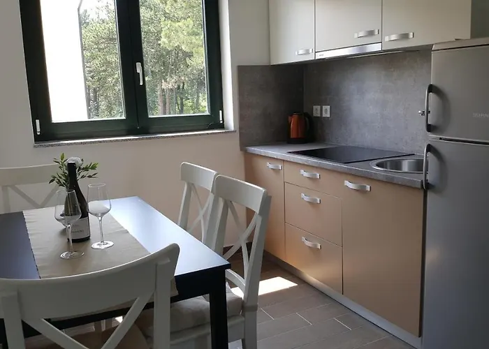 Apartament Artemis *